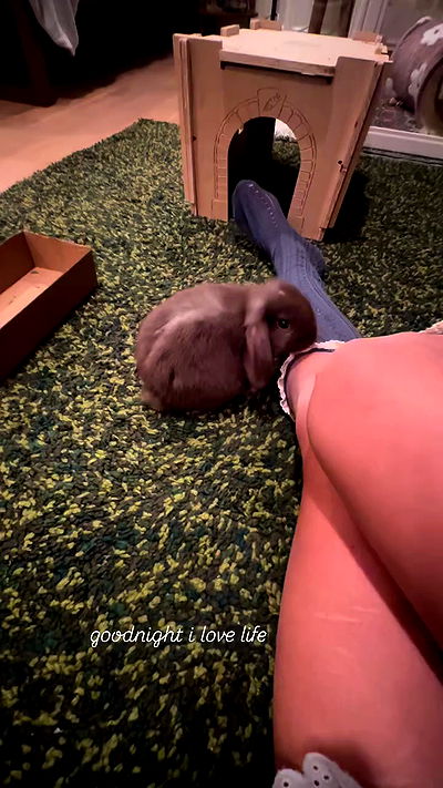 neiimaaa neiimaaa archive video