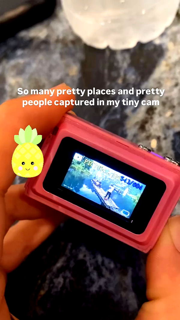 yam_adler archive video preview