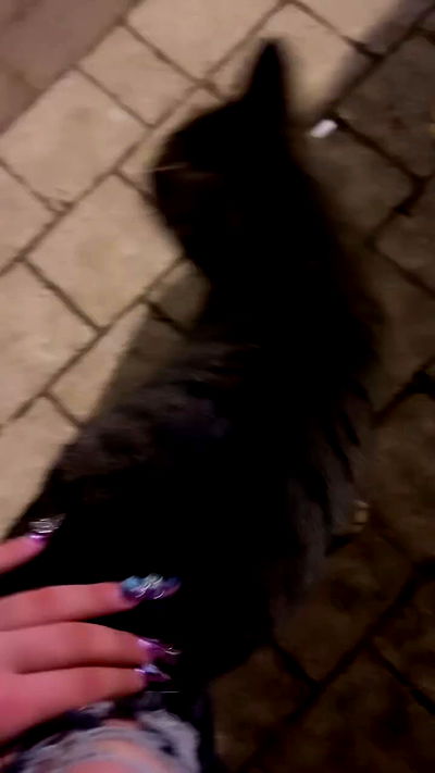 hellokittyangel666 hellokittyangel666 archive video