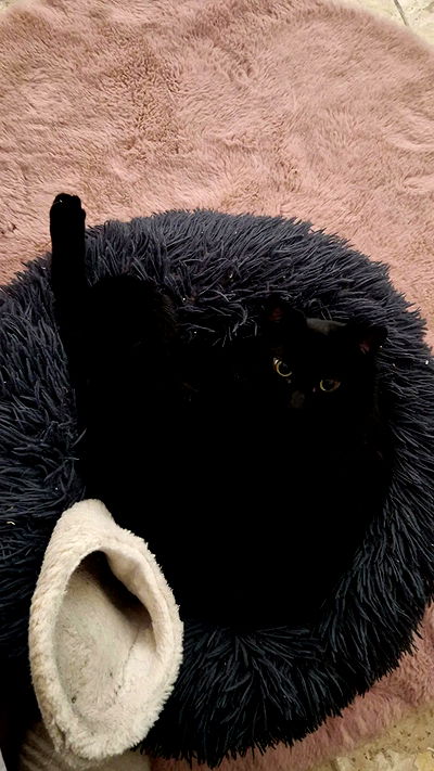 aekamee aekamee archive video