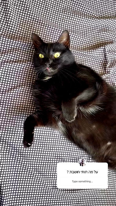 hellokittyangel666 hellokittyangel666 archive video