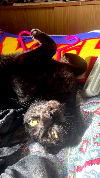 feelbetterinmysweater feelbetterinmysweater archive video