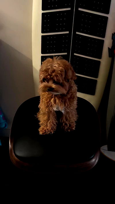 onlykrisssty onlykrisssty archive video