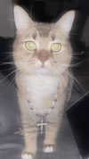theresemarlen Altpins Profile Picture