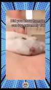 courtney2love Altpins Profile Picture