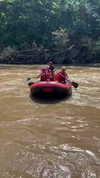 shelly_roberin Altpins Profile Picture