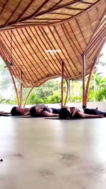 rivkavel rivkavel archive video