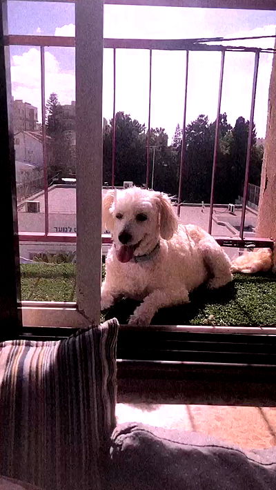 feelbetterinmysweater feelbetterinmysweater archive video