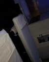 sonia_litvanchuk Altpins Profile Picture