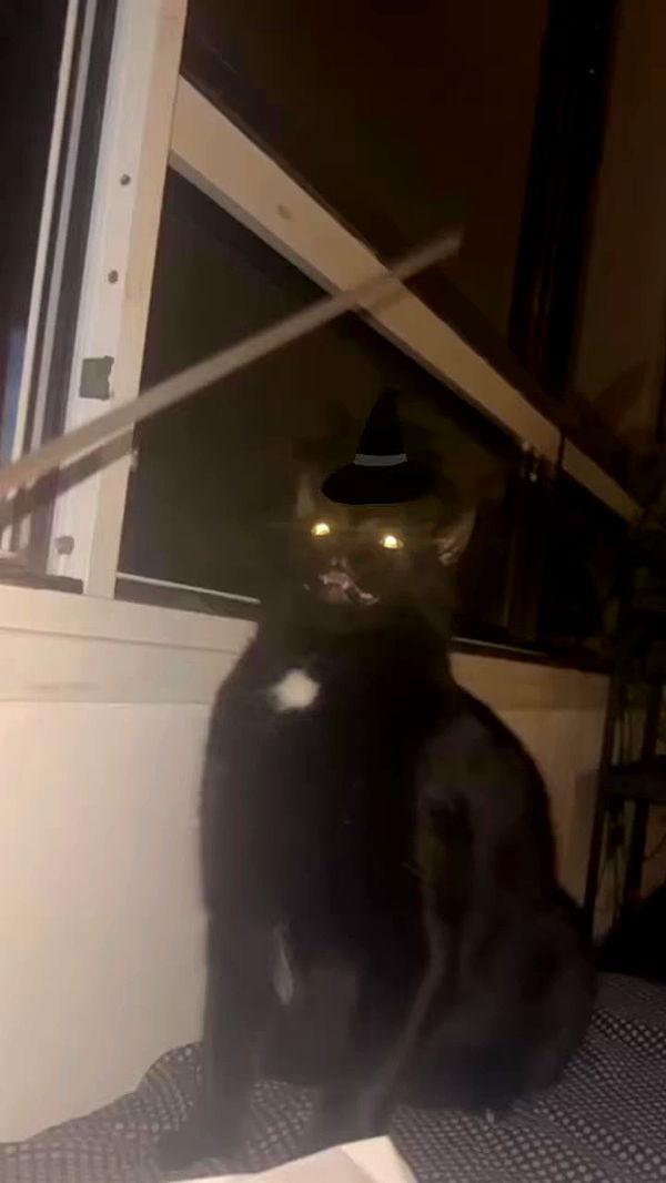 hellokittyangel666 archive video preview