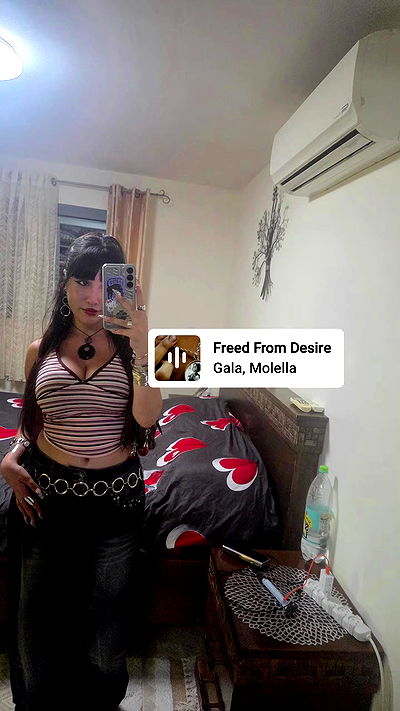 avital_1010.2003 avital_1010.2003 archive video