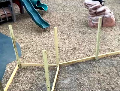 dakotabell05 dakotabell05 archive video