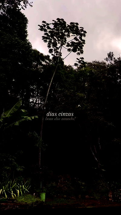 eusandyyh eusandyyh archive video