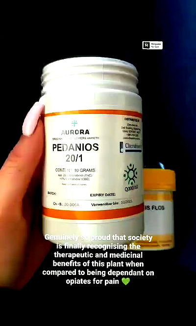 bakedsloths bakedsloths archive video