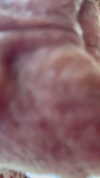 heathergrace67 Altpins Profile Picture