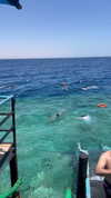 diana_polin Altpins Profile Picture