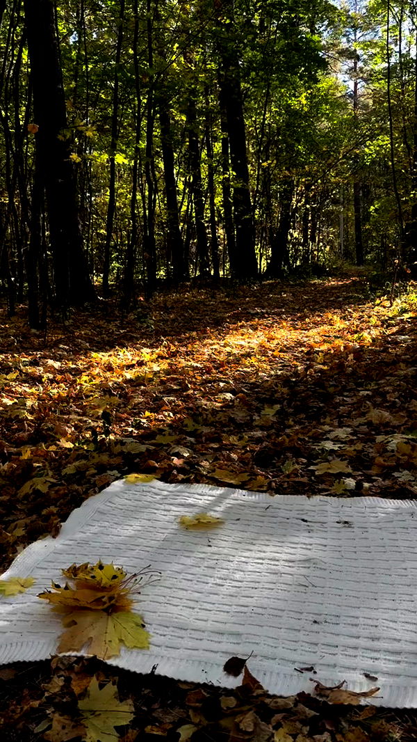 nyityam archive video preview