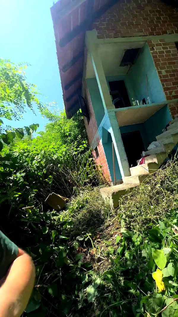 justus_reid archive video preview