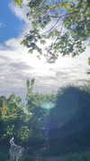 astarwbry_ Altpins Profile Picture