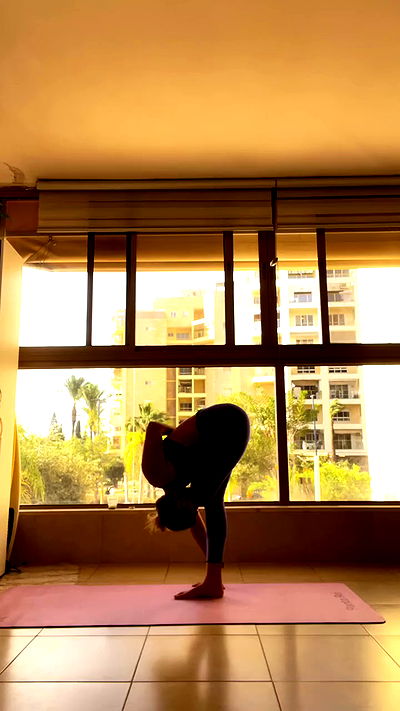 liad.arazi liad.arazi archive video