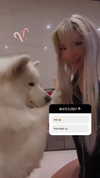 itsizzyskye Altpins Profile Picture