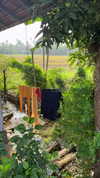 noa_mendel_ Altpins Profile Picture