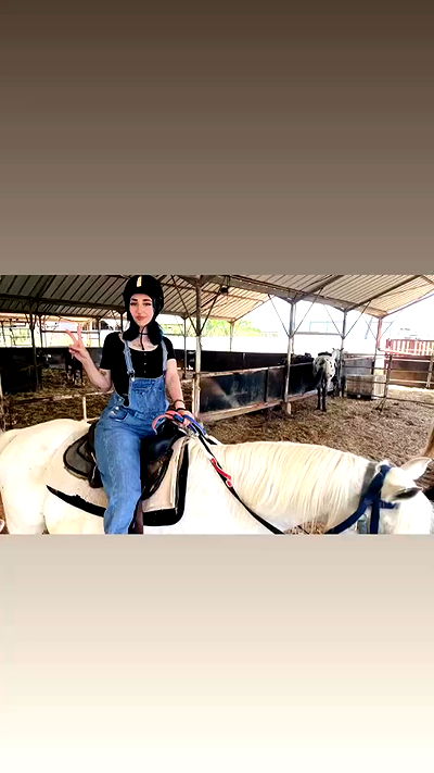 dustheadd dustheadd archive video