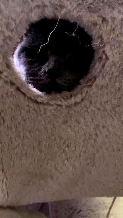 yoo.mon yoo.mon archive video