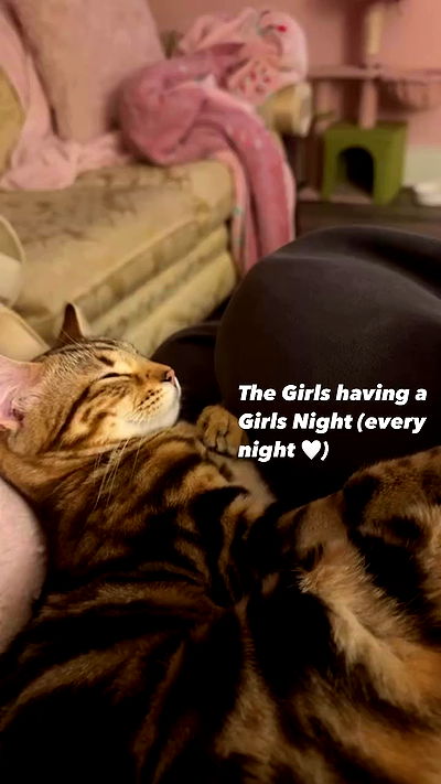 laurinchhhe laurinchhhe archive video