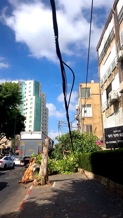 kaliamorcita kaliamorcita archive video