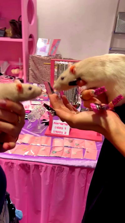 yam_adler yam_adler archive video