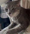 _tero._ Altpins Profile Picture