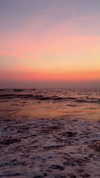 noa_mendel_ Altpins Profile Picture