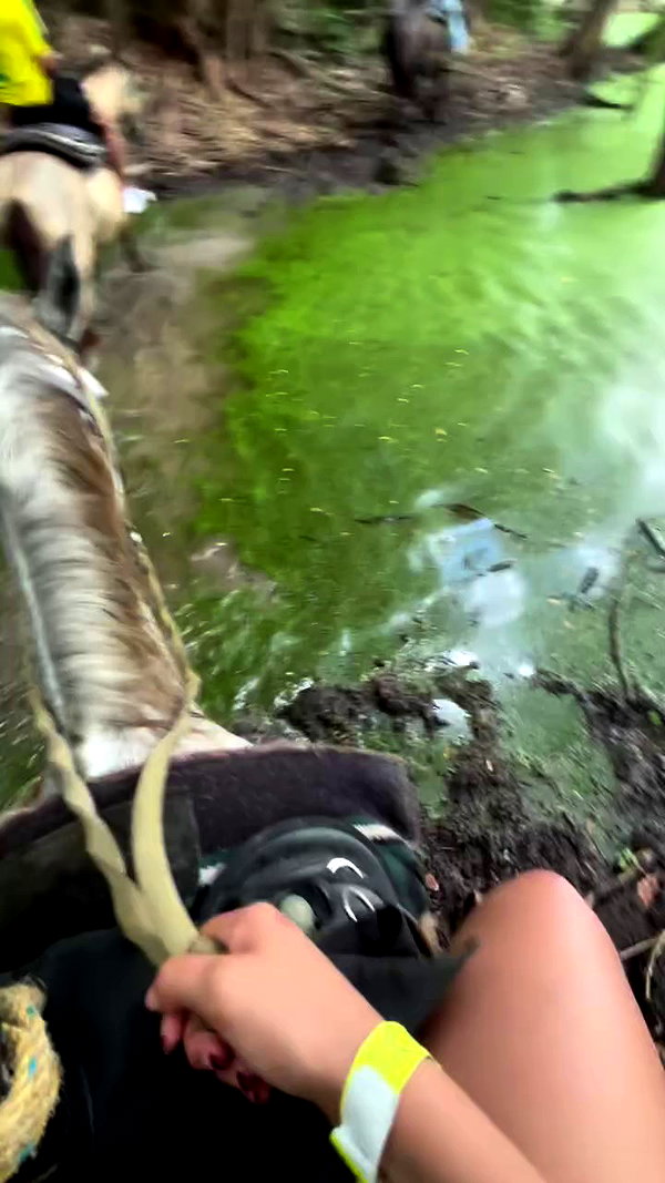 leahsylvander archive video preview