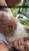 stefaniedra6 Altpins Profile Picture