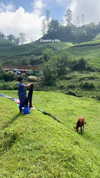 noa_mendel_ Altpins Profile Picture