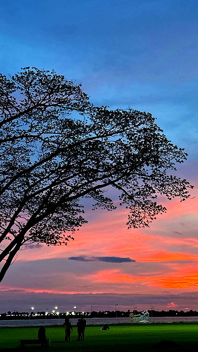 oqr0_ oqr0_ archive video