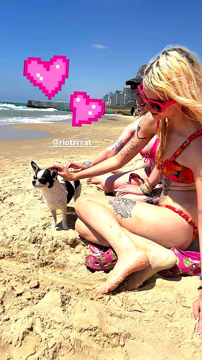 yam_adler yam_adler archive video