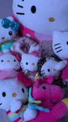 hellowkitty4ever Altpins Profile Picture