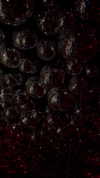 dasha.ilyushchyts Altpins Profile Picture