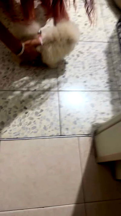 _lil_noa_ _lil_noa_ archive video