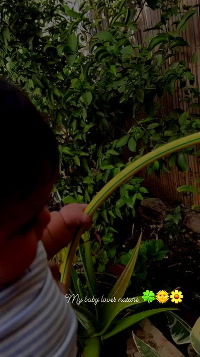 rebecka_tsadok rebecka_tsadok archive video