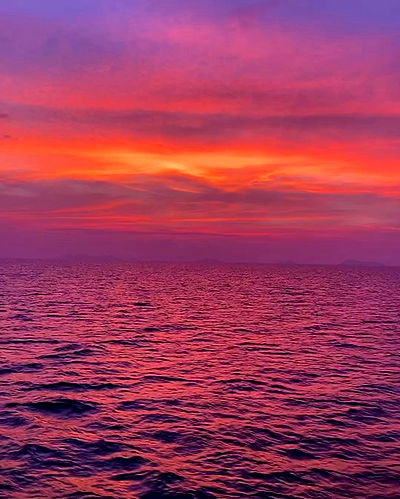 yam_adler yam_adler archive video