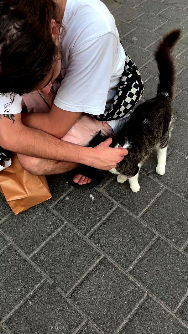 hellokittyangel666 archive video preview