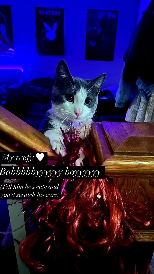 tatum.ricee archive video preview