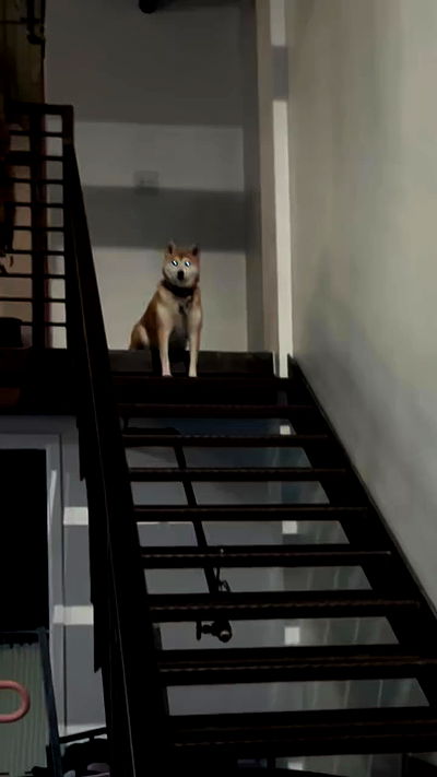 zommmbri zommmbri archive video