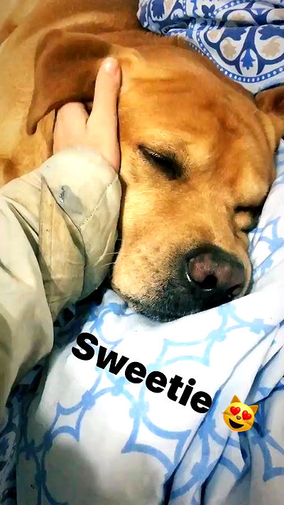 lissi77 lissi77 archive video