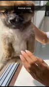 courtney2love Altpins Profile Picture