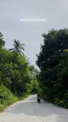 noa_mendel_ Altpins Profile Picture