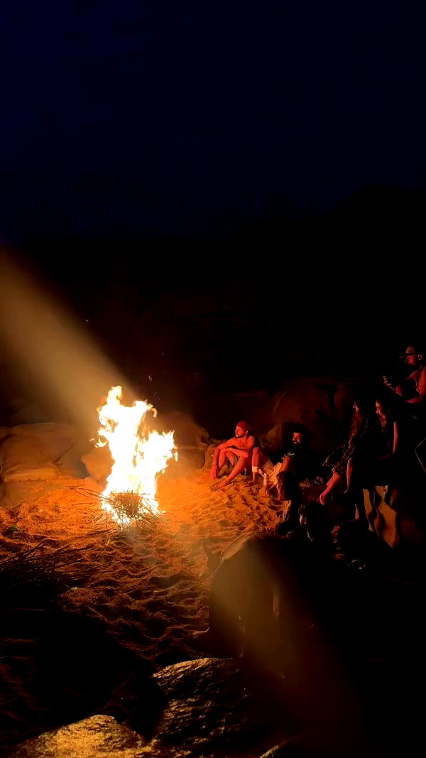 noa_mendel_ archive video preview